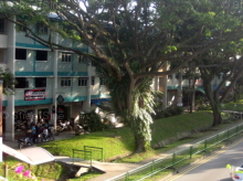 Blk 125 Bukit Merah Lane 1 (Bukit Merah), HDB 3 Rooms #24802